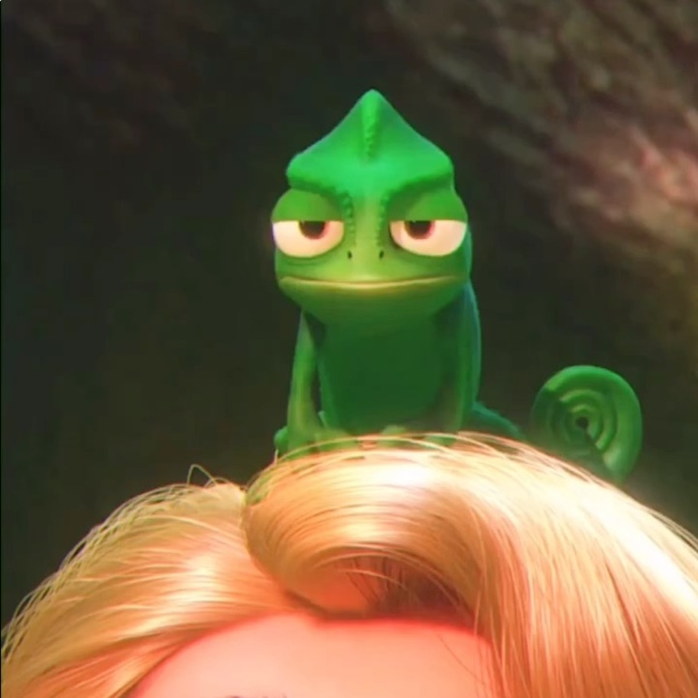 Meet your Posher, Chace